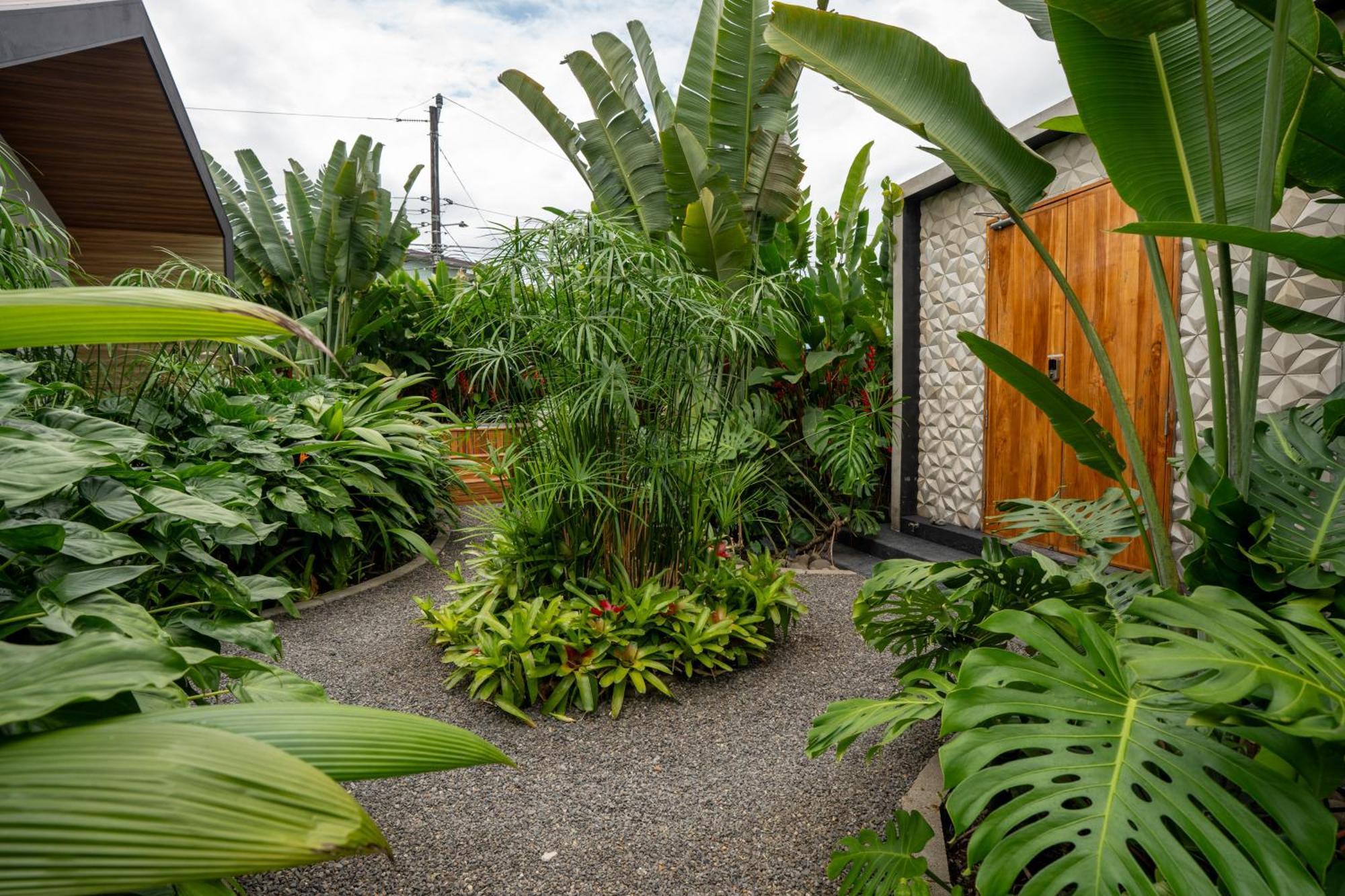 Suwa Villa Arenal La Fortuna Exterior foto